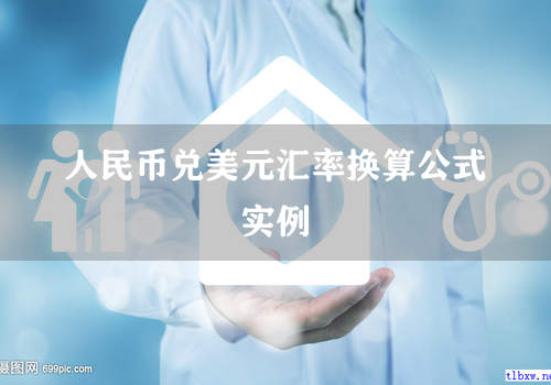 人民币兑美元汇率换算公式实例