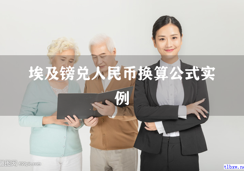 埃及镑兑人民币换算公式实例