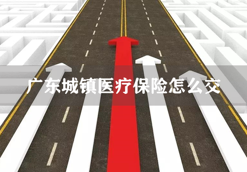 广东城镇医疗保险怎么交