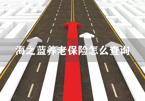海之蓝养老保险怎么查询