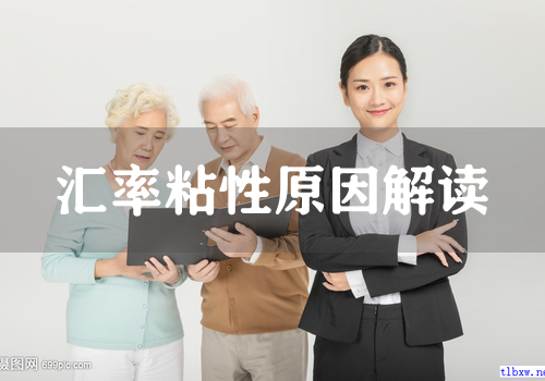 汇率粘性原因解读