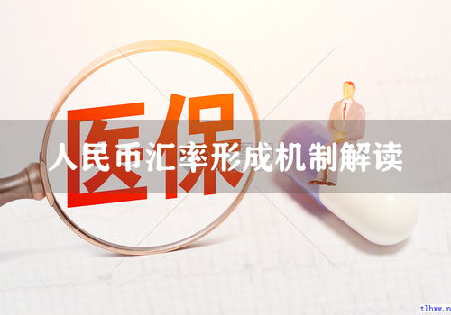 人民币汇率形成机制解读