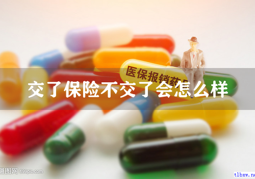 交了保险不交了会怎么样