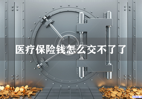 医疗保险钱怎么交不了了