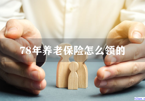 78年养老保险怎么领的