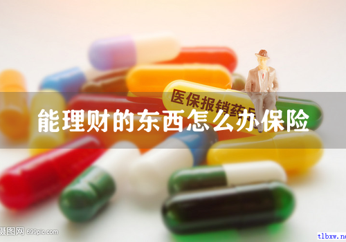 能理财的东西怎么办保险