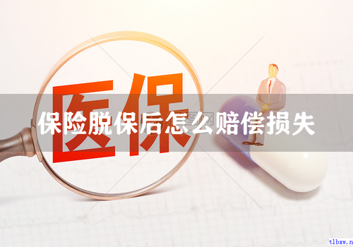 保险脱保后怎么赔偿损失