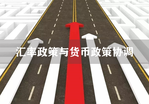 汇率政策与货币政策协调