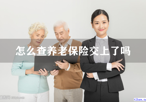怎么查养老保险交上了吗