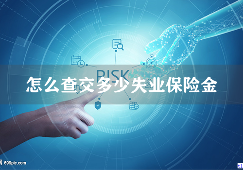 怎么查交多少失业保险金