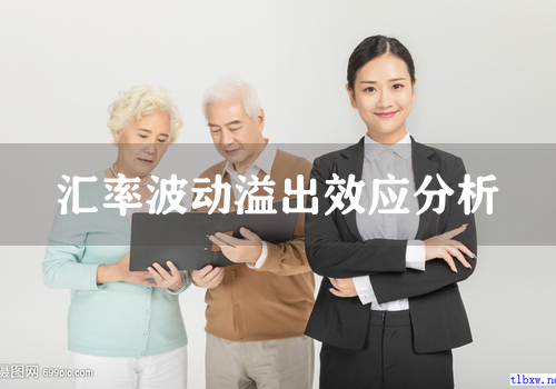 汇率波动溢出效应分析