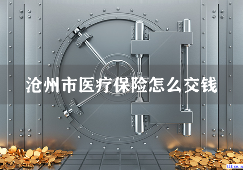 沧州市医疗保险怎么交钱