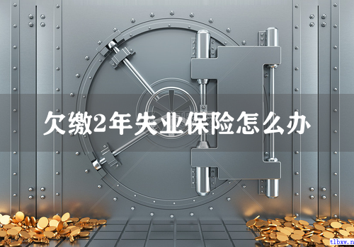 欠缴2年失业保险怎么办