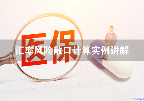 汇率风险敞口计算实例讲解