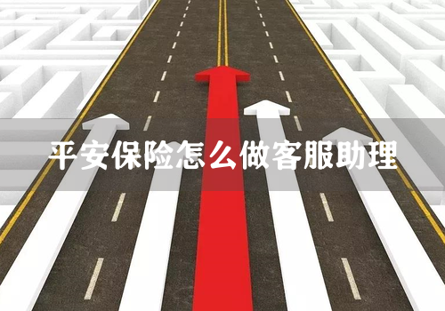 平安保险怎么做客服助理