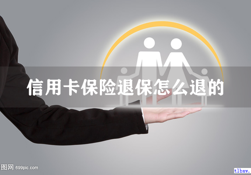 信用卡保险退保怎么退的
