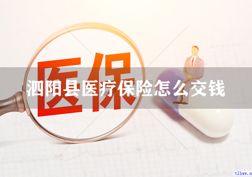 泗阳县医疗保险怎么交钱