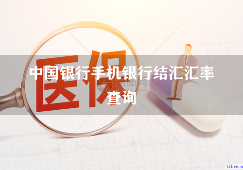 中国银行手机银行结汇汇率查询