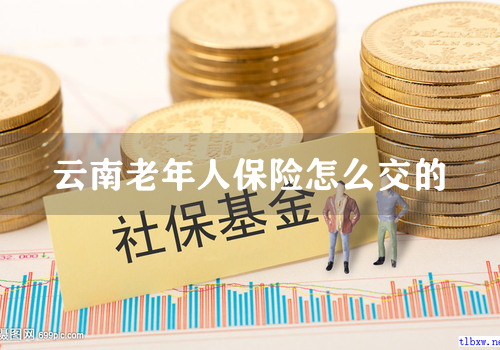 云南老年人保险怎么交的