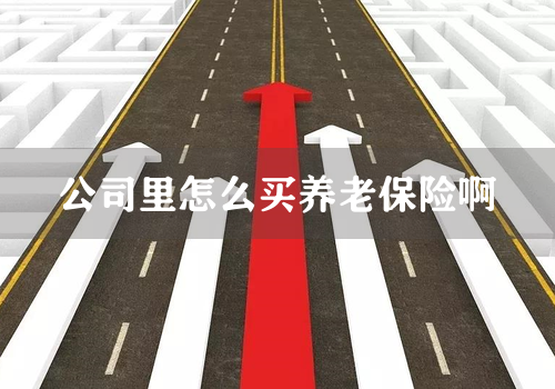 公司里怎么买养老保险啊
