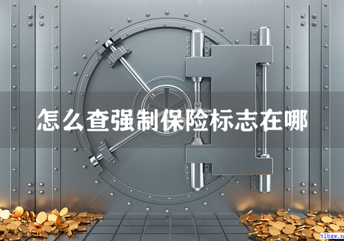 怎么查强制保险标志在哪
