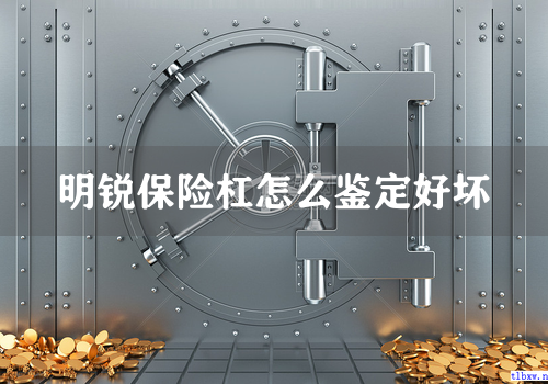 明锐保险杠怎么鉴定好坏