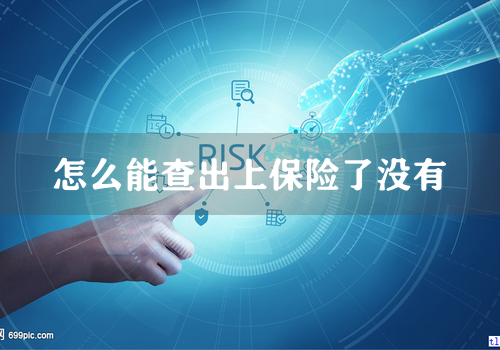 怎么能查出上保险了没有