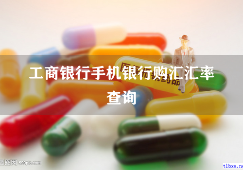 工商银行手机银行购汇汇率查询