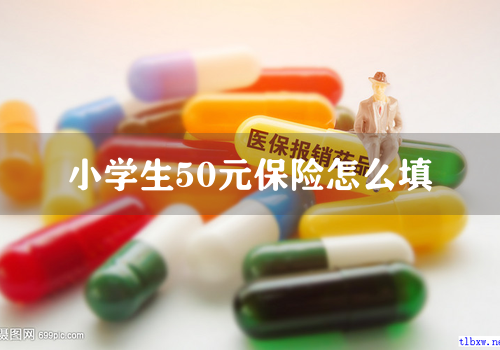 小学生50元保险怎么填