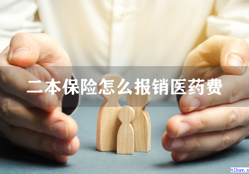 二本保险怎么报销医药费
