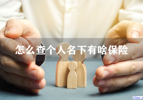 怎么查个人名下有啥保险
