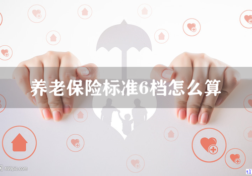 养老保险标准6档怎么算