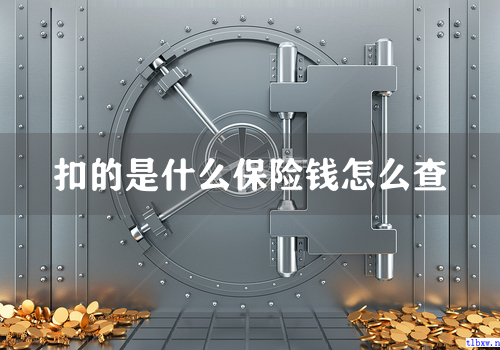 扣的是什么保险钱怎么查