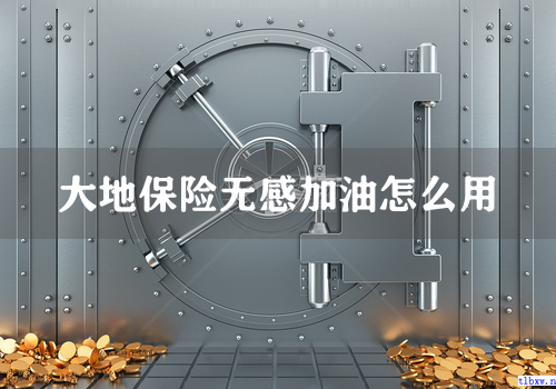 大地保险无感加油怎么用