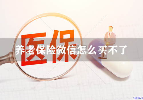 养老保险微信怎么买不了