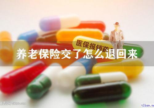 养老保险交了怎么退回来