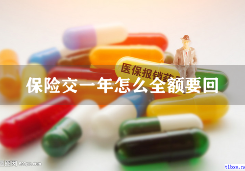 保险交一年怎么全额要回
