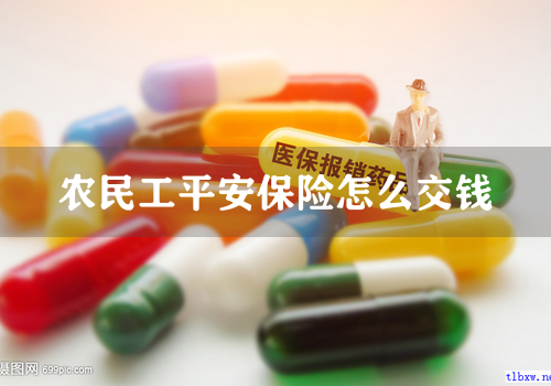 农民工平安保险怎么交钱