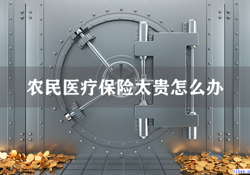 农民医疗保险太贵怎么办