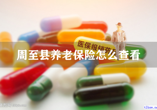 周至县养老保险怎么查看