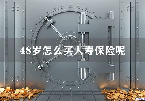 48岁怎么买人寿保险呢