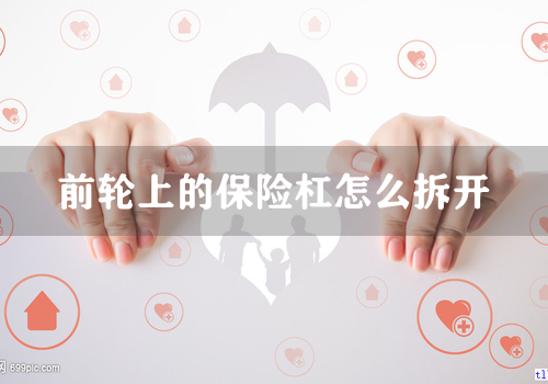 前轮上的保险杠怎么拆开