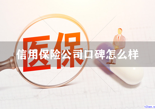信用保险公司口碑怎么样