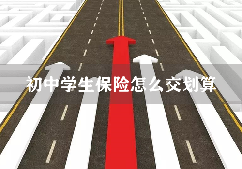 初中学生保险怎么交划算