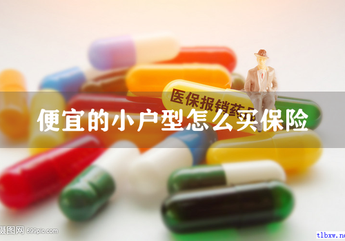 便宜的小户型怎么买保险