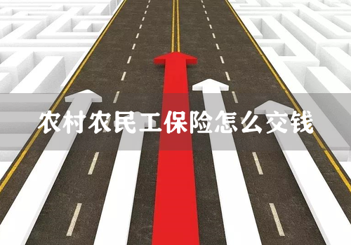 农村农民工保险怎么交钱