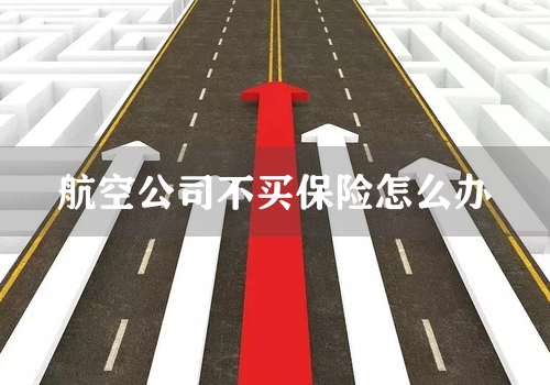 航空公司不买保险怎么办