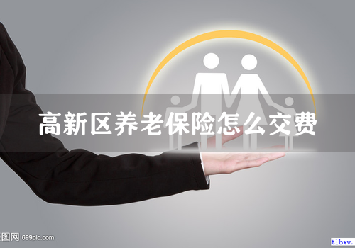 高新区养老保险怎么交费