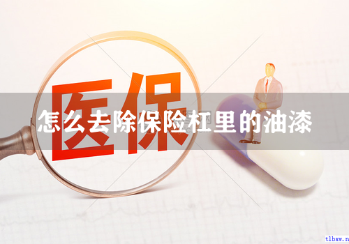 怎么去除保险杠里的油漆