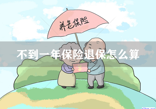 不到一年保险退保怎么算